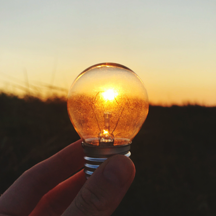 ¿Qué Tipo de Subvenciones buscas?